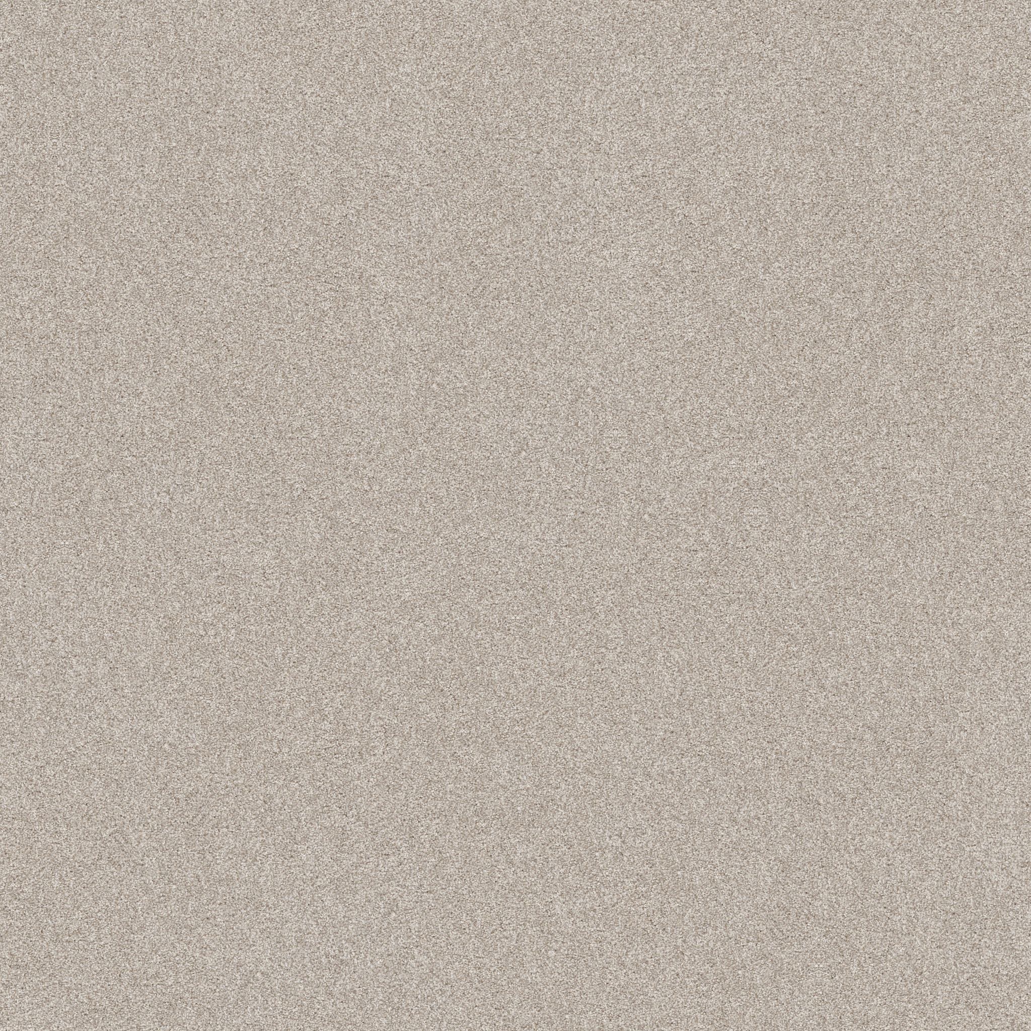 Style name and number: Harmonious I 5E438 and color name and number: Split Sediment 00104